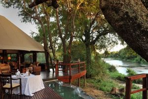 Unveiling the Enchanting Wilderness: Discover Hamilton Tented Camp, South Africa Africa Unveiled: Nature, Culture, and History Unveiling the Enchanting Wilderness: Discover Hamilton Tented Camp, South Africa | Africa Unveiled: Nature, Culture, and History