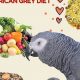 Unlocking the Secrets to Optimal Nutrition: Discover the Best African Grey Parrot Food | Africa Unveiled: Nature, Culture, and History