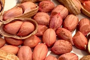 Uncover the Delights of Carolina African Runner Peanuts: A Culinary Adventure! | Africa Unveiled: Nature, Culture, and History