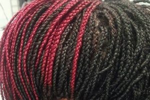 Uncover the Secrets of African Hair Braiding in Wilmington, NC: Your Journey to Stunning Braids Begins Here Africa Unveiled: Nature, Culture, and History Uncover the Secrets of African Hair Braiding in Wilmington, NC: Your Journey to Stunning Braids Begins Here | Africa Unveiled: Nature, Culture, and History