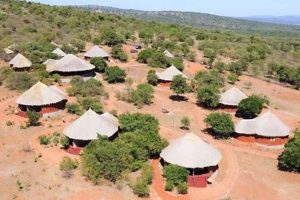 Unveiling the Enchanting Maasai Boma: A Safari Journey of Discovery | Africa Unveiled: Nature, Culture, and History