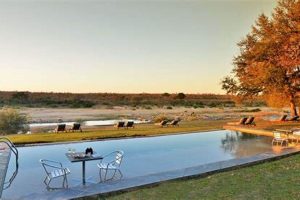 Uncover the Enchanting Wilderness of Mjejane River Lodge, South Africa Africa Unveiled: Nature, Culture, and History Uncover the Enchanting Wilderness of Mjejane River Lodge, South Africa | Africa Unveiled: Nature, Culture, and History