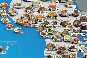 Unlock the Culinary Treasures of Africa with Wigss Global Food | Africa Unveiled: Nature, Culture, and History