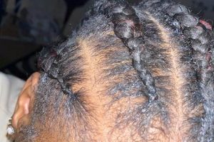 Unveil the Allure: Fatusha African Hair Braiding Explored | Africa Unveiled: Nature, Culture, and History