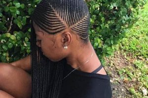 Unlock the Secrets of Fefe African Hair Braiding: A Journey of Discovery | Africa Unveiled: Nature, Culture, and History
