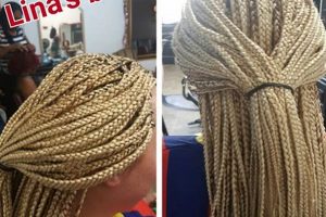 Uncover the Secrets of Jacksonville FL African Hair Braiding Africa Unveiled: Nature, Culture, and History Uncover the Secrets of Jacksonville FL African Hair Braiding | Africa Unveiled: Nature, Culture, and History