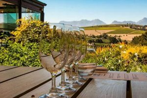 Uncover Stellenbosch's Culinary Gems: A Gastronomic Adventure Awaits in the Heart of South Africa's Winelands Africa Unveiled: Nature, Culture, and History Uncover Stellenbosch's Culinary Gems: A Gastronomic Adventure Awaits in the Heart of South Africa's Winelands | Africa Unveiled: Nature, Culture, and History