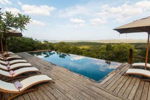 Unveiling Rhino Ridge Lodge South Africa: Where Wildlife and Luxury Converge Africa Unveiled: Nature, Culture, and History Unveiling Rhino Ridge Lodge South Africa: Where Wildlife and Luxury Converge | Africa Unveiled: Nature, Culture, and History