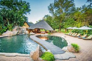 Discover the Enchanting Wilderness of Shiduli Private Game Lodge in South Africa | Africa Unveiled: Nature, Culture, and History