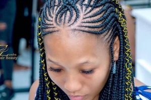 Unveil the Enchanting Realm of Sophisticated African Braiding: Discoveries and Insights | Africa Unveiled: Nature, Culture, and History
