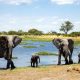 Best Photo Safaris In Africa | Africa Unveiled: Nature, Culture, and History