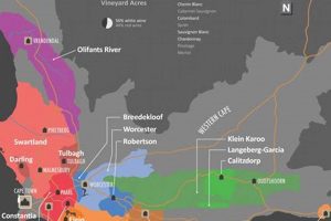 Discover the Treasures of South Africa's Wine Regions with Our Insightful Map Africa Unveiled: Nature, Culture, and History Discover the Treasures of South Africa's Wine Regions with Our Insightful Map | Africa Unveiled: Nature, Culture, and History