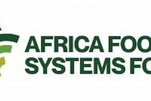 Unveiling the Future of Africa's Food Systems: Discoveries and Insights from the Africa Food Systems Forum Africa Unveiled: Nature, Culture, and History Unveiling the Future of Africa's Food Systems: Discoveries and Insights from the Africa Food Systems Forum | Africa Unveiled: Nature, Culture, and History