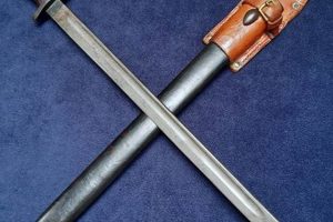 Unveiling the Secrets of the South African Enfield Bayonet: Discoveries and Insights | Africa Unveiled: Nature, Culture, and History