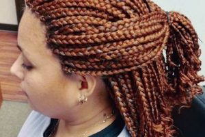 Uncover the Secrets of African Hair Braiding in Austin, TX Africa Unveiled: Nature, Culture, and History Uncover the Secrets of African Hair Braiding in Austin, TX | Africa Unveiled: Nature, Culture, and History