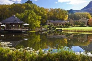 Discover the Hidden Gems of Logistics with Stark Conde South Africa | Africa Unveiled: Nature, Culture, and History