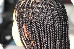 Unlock the Secrets of African Hair Braiding in Concord, NC: Discoveries and Insights | Africa Unveiled: Nature, Culture, and History