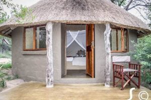 Unveil the Secrets of Umlani Bushcamp: A Safari Adventure in South Africa | Africa Unveiled: Nature, Culture, and History