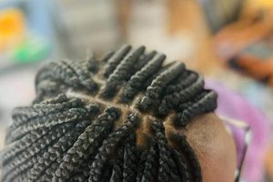 Unlock the Secrets of African Hair Braiding in Bridgeport, CT Africa Unveiled: Nature, Culture, and History Unlock the Secrets of African Hair Braiding in Bridgeport, CT | Africa Unveiled: Nature, Culture, and History