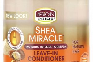 Unlock the Secrets: Discover Game-Changing Leave-In Conditioner Insights | Africa Unveiled: Nature, Culture, and History