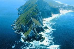 Unveiling the Enchanting Cape Peninsula: A Journey of Discovery | Africa Unveiled: Nature, Culture, and History