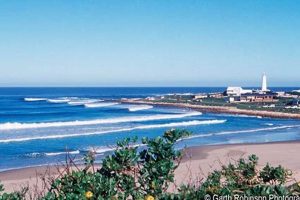 Unveiling the Secrets of Cape St Francis: A Surfer's Paradise | Africa Unveiled: Nature, Culture, and History