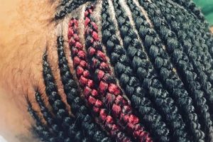 Uncover the Secrets of African Hair Braiding in Minneapolis, MN Africa Unveiled: Nature, Culture, and History Uncover the Secrets of African Hair Braiding in Minneapolis, MN | Africa Unveiled: Nature, Culture, and History