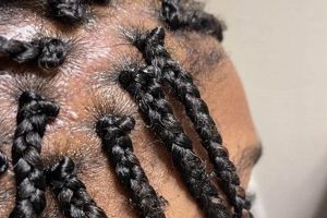Unlock the Secrets of Elle African Hair Braiding: Discoveries and Insights Await Africa Unveiled: Nature, Culture, and History Unlock the Secrets of Elle African Hair Braiding: Discoveries and Insights Await | Africa Unveiled: Nature, Culture, and History