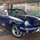 Unleash the Thrill: Discover the Ultimate Ford Mustang in South Africa | Africa Unveiled: Nature, Culture, and History