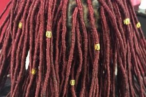 Unlock the Secrets of Khadim African Hair Braiding: A Journey of Discovery | Africa Unveiled: Nature, Culture, and History