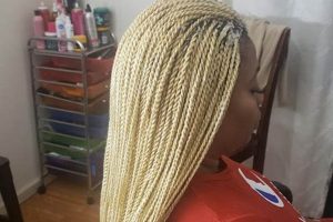 Uncover the Enchanting World of Lucky African Hair Braiding: Discoveries and Insights Await | Africa Unveiled: Nature, Culture, and History