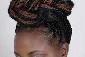 Discover the Art of African Hair Braiding on Gratiot and 7 Mile Africa Unveiled: Nature, Culture, and History Discover the Art of African Hair Braiding on Gratiot and 7 Mile | Africa Unveiled: Nature, Culture, and History
