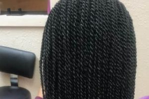 Discover the Enchanting World of African Braiding in Jacksonville, NC Africa Unveiled: Nature, Culture, and History Discover the Enchanting World of African Braiding in Jacksonville, NC | Africa Unveiled: Nature, Culture, and History
