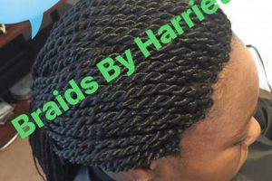 Unlock the Secrets of African Braiding in Mobile, Alabama | Africa Unveiled: Nature, Culture, and History