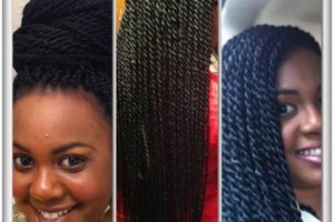 African Braiding Salon Fayetteville NC: Unveiling Hidden Gems for Stunning Braids | Africa Unveiled: Nature, Culture, and History