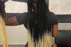 Discover the Allure of African Braiding in Rochester, NY: A Journey of Beauty and Tradition | Africa Unveiled: Nature, Culture, and History