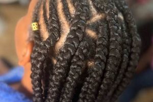 Unlock the Secrets of African Braiding in Stockbridge, GA: A Journey of Discovery and Style | Africa Unveiled: Nature, Culture, and History