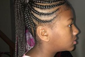 Unlock the Secrets of African Hair Braiding in Belleville, IL | Africa Unveiled: Nature, Culture, and History