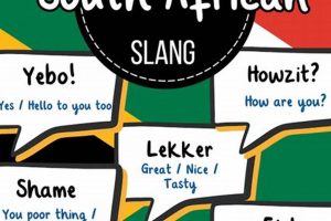 Unlock the Vibrant World of South African Phrases: Discoveries and Insights Await | Africa Unveiled: Nature, Culture, and History