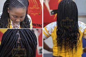 Discover the Secrets of African Hair Braiding in Hillsborough, Tampa FL | Africa Unveiled: Nature, Culture, and History