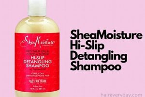 Discover the Detangling Secrets for African American Hair Africa Unveiled: Nature, Culture, and History Discover the Detangling Secrets for African American Hair | Africa Unveiled: Nature, Culture, and History