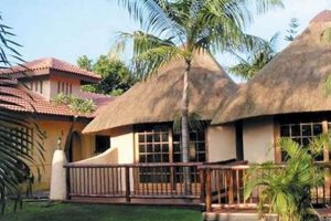 Uncover the Gems of St. Lucia Accommodation in South Africa | Africa Unveiled: Nature, Culture, and History