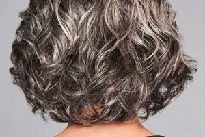 Unveiling the Secrets of Salt and Pepper Human Hair Wigs for African American Beauties Africa Unveiled: Nature, Culture, and History Unveiling the Secrets of Salt and Pepper Human Hair Wigs for African American Beauties | Africa Unveiled: Nature, Culture, and History