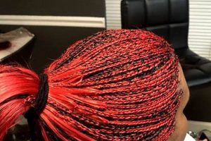 Nashville's Crowned Jewels: Unraveling the Art of African Hair Braiding Africa Unveiled: Nature, Culture, and History Nashville's Crowned Jewels: Unraveling the Art of African Hair Braiding | Africa Unveiled: Nature, Culture, and History