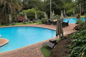 Accommodation In Hazyview South Africa | Africa Unveiled: Nature, Culture, and History