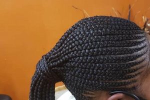 Unveil the Secrets of African Hair Braiding in Tacoma, WA: A Journey of Discovery Africa Unveiled: Nature, Culture, and History Unveil the Secrets of African Hair Braiding in Tacoma, WA: A Journey of Discovery | Africa Unveiled: Nature, Culture, and History