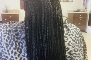 Uncover the Secrets of African Hair Braiding in Virginia Beach, VA Africa Unveiled: Nature, Culture, and History Uncover the Secrets of African Hair Braiding in Virginia Beach, VA | Africa Unveiled: Nature, Culture, and History