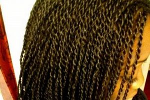 Uncover the Enchanting World of Roots African Hair Braiding: A Journey of Discovery and Inspiration | Africa Unveiled: Nature, Culture, and History