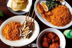 Unveiling Houston's African Culinary Gems: A Journey of Flavors and Culture | Africa Unveiled: Nature, Culture, and History