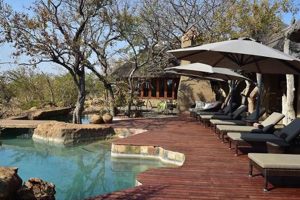 Uncover the Enchanting Secrets of rhulani+safari+lodge+madikwe+game+reserve+south+africa | Africa Unveiled: Nature, Culture, and History
